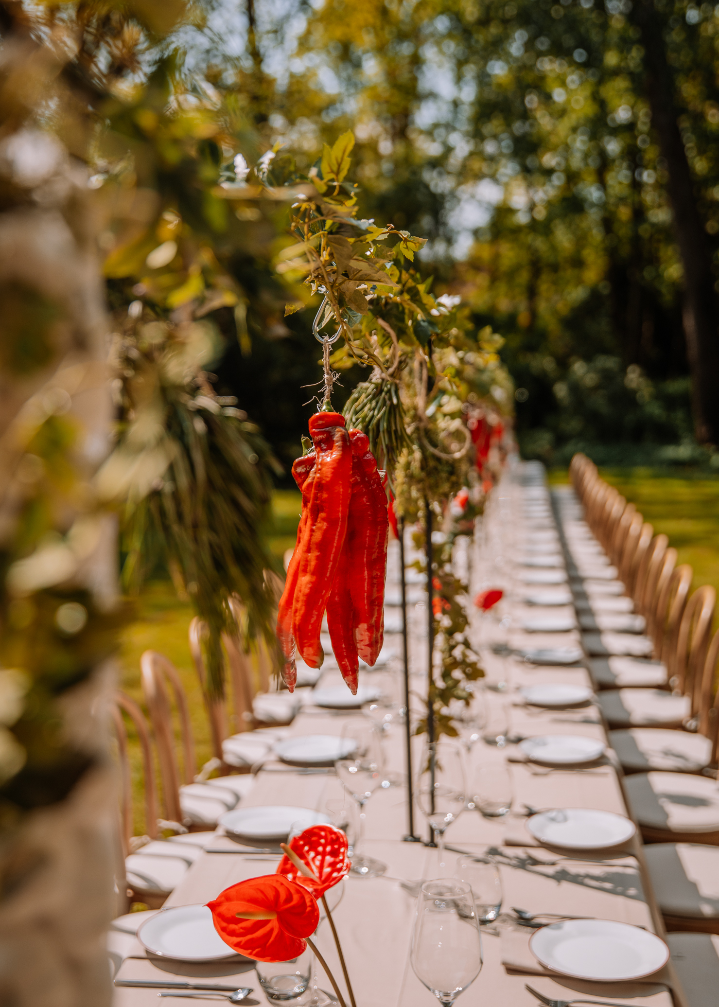 Outdoor garden dining setup: a long table with plates, glassware, and cutlery, under hanging vines with red peppers as décor.